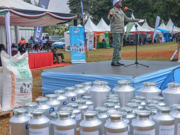June Dairy Month Celebration – Nyeri Farmers Field Day